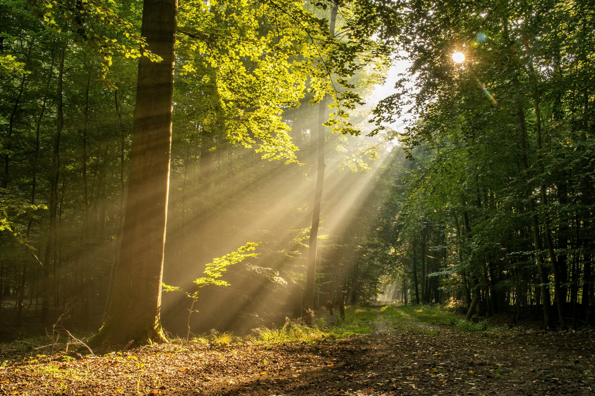 Awakened in Christ: From the Old Nature to New Life in the Spirit